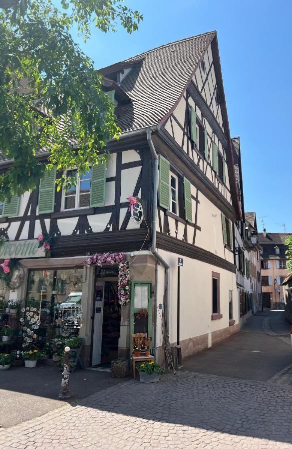 La Maison Du Batelier - Quartier Historique Petite Venise Colmar Eksteriør billede